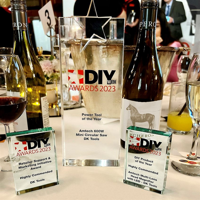 diyweek awards1_2023.jpg